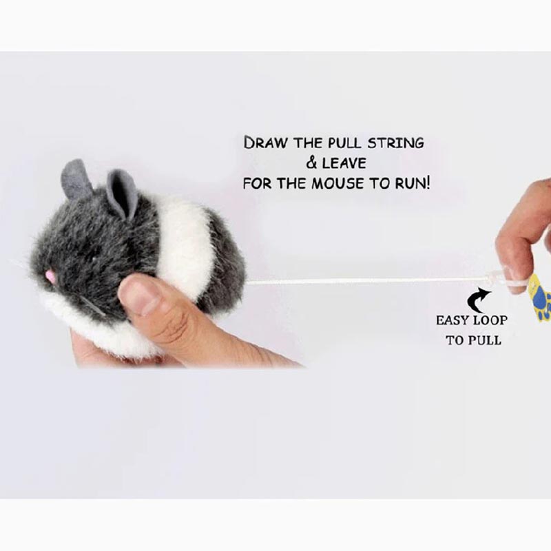 A+a Pets' Interactive Vibrating Fur Running Mouse Toy for Dogs & Cats www.aplusapets.com A+a Pets' Interactive Vibrating Fur Running Mouse Toy for Dogs & Cats www.aplusapets.com