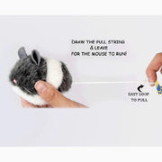 toy cat interactive
