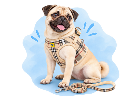 Harnesses
