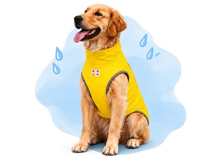 Rainwear
