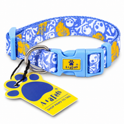 Blue Pirate collar centered on white background