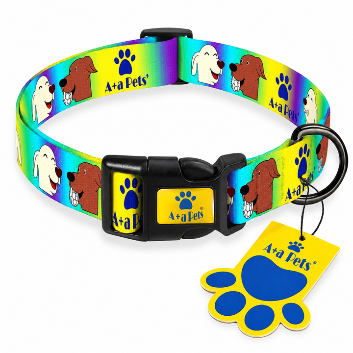 Playtime' Collar for Dogs & Cats centered on white background