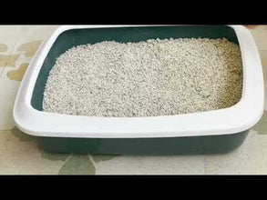 A+a Pets' Tofu Pure Natural Dust Free Cat Litter - 6L