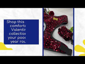 A+a Pets' Sequins Set of 5- Harness, Leash, Collar, Bow & Poo Bag Pouch