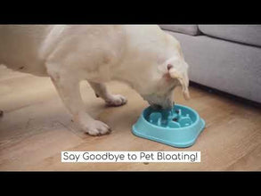 A+a Pets' Slow Feeder Bowl for Pets