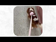 Combo of 3 BackPack Harness, Leash & Bag Set - Stripes
