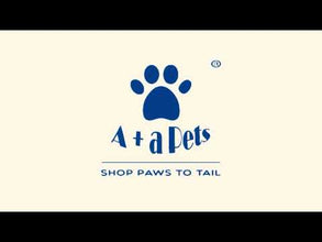 A+a Pets’ Cotton Reusable Washable Diaper for Dogs (Navy)