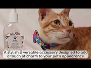2in1 Bow Collar for Cats and Puppy