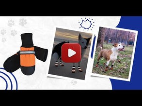 A+a Pets' Premium Dog Boots for All-Weather Adventures - Orange