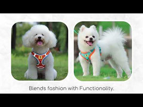 A+a Pets' Suede Harness & Leash Set for Cats & Small Dogs