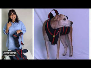 A+a Pets' Lift Full Body Support Harness for Dog with weak legs