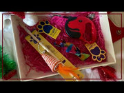 Goodie Box of (3) for Dogs and Cats: Wand Toy, Retractable Leash, and Bow Collar