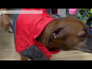 A+A Pets' Free & Wild’ Jacket For Dogs & Cats - Red