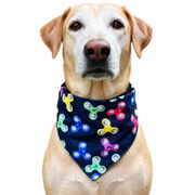 Dog wearing Fitbit Collection scarf collar, Blue design