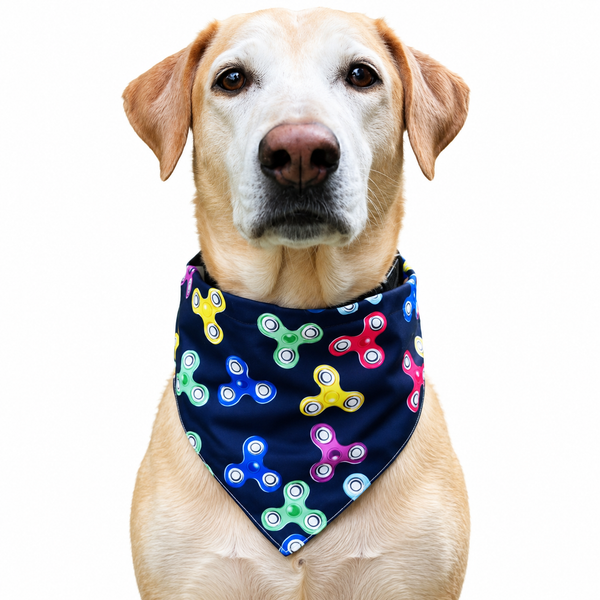 Bandana Collar