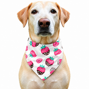 Dog wearing Fruit Collection scarf collar, Pink design