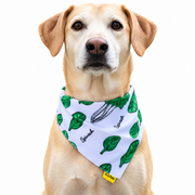 Dog wearing Fruit Collection scarf collar, White design