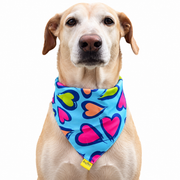Dog wearing Heart Collection scarf collar, Blue design