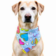 Dog wearing Heart Collection scarf collar, Clear design