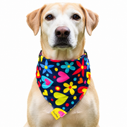 Dog wearing Heart Collection scarf collar, Navy design