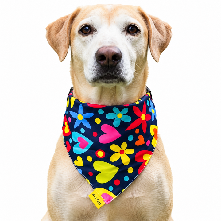Dog wearing Heart Collection scarf collar, Navy design