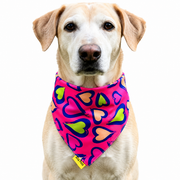 Dog wearing Heart Collection scarf collar, Pink design