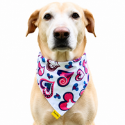 Dog wearing Heart Collection scarf collar, White design