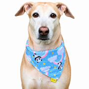 Dog wearing Teddy & Panda Collection scarf collar, Blue design