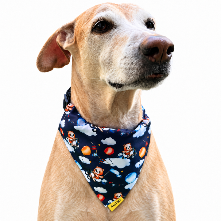 Dog wearing Teddy & Panda Collection scarf collar, Navy design