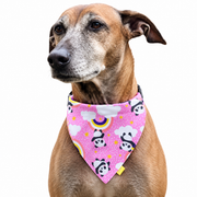 Dog wearing Teddy & Panda Collection scarf collar, Pink design