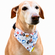 Dog wearing Teddy & Panda Collection scarf collar, White design