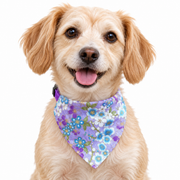 Dog wearing Petal Collection scarf collar, Purple design