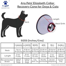 e collar size chart