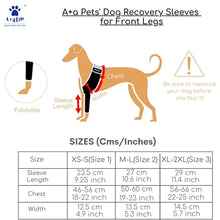 A+a Pets' Dog Recovery Sleeves for Front Legs