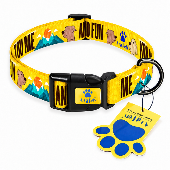 You Me Sun and Fun collar centered on white background