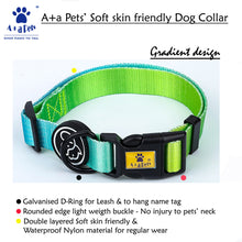 dog collar in green color