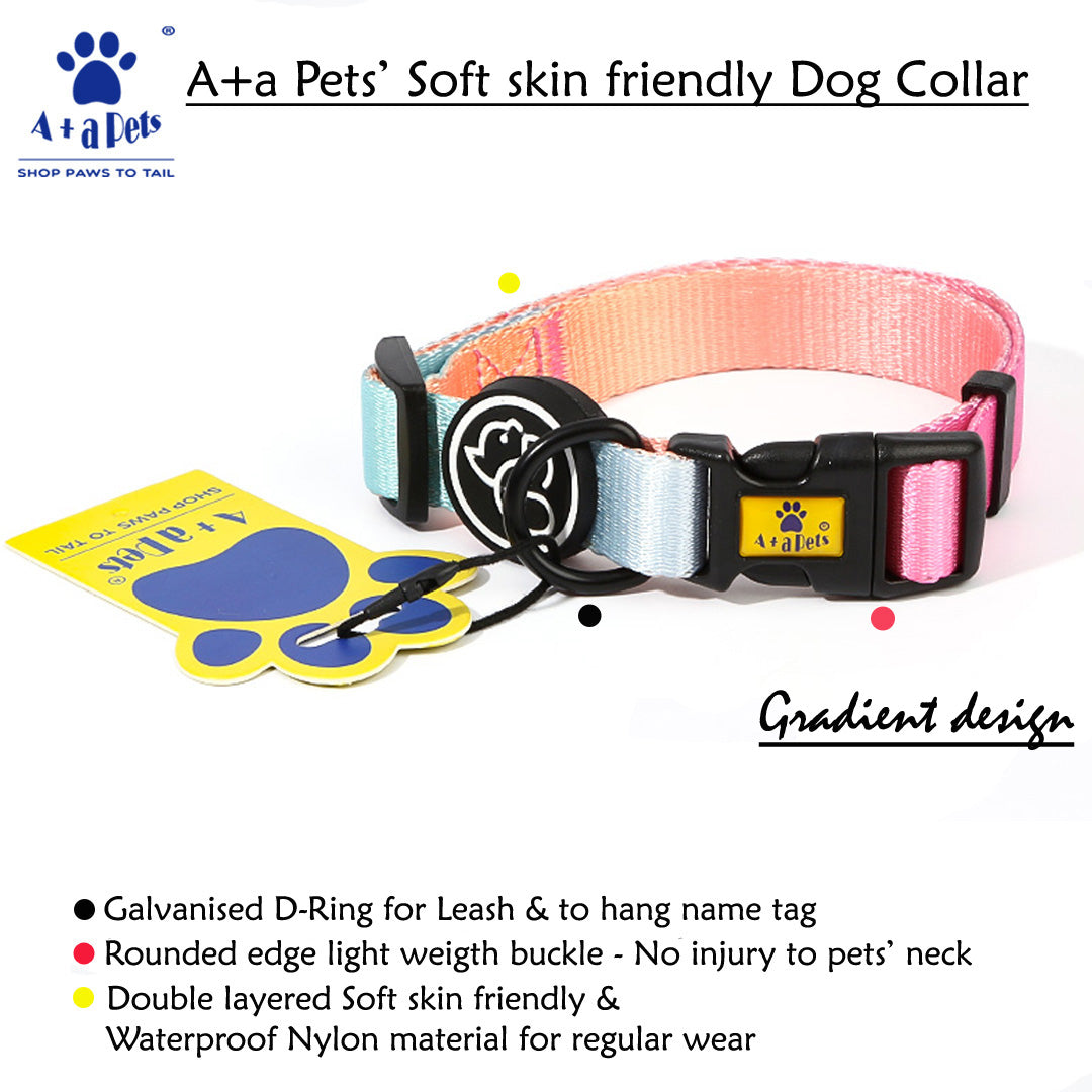 A+A Pets' Harness+Collar+Leash Set In Gradient Design