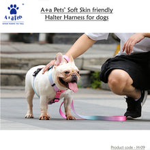 A+A Pets' Harness+Collar+Leash Set In Gradient Design - www.aplusapets.com