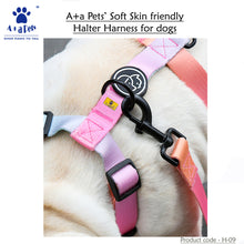 A+A Pets' Harness+Collar+Leash Set In Gradient Design