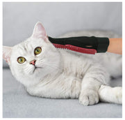 A+A Pets' Bathing Silicon Gloves for Pets - www.aplusapets.com