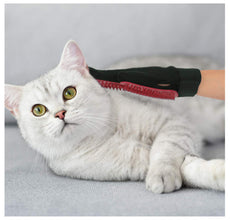 A+A Pets' Bathing Silicon Gloves for Pets - www.aplusapets.com