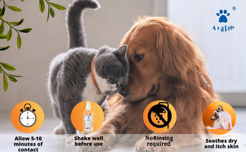A+A Pets' Milk Bath Dry Shampoo For Pets - www.aplusapets.com