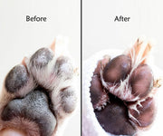 A+A Pets' Milk Bath Dry Shampoo For Pets - www.aplusapets.com