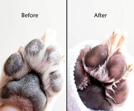 A+A Pets' Milk Bath Dry Shampoo For Pets - www.aplusapets.com