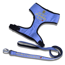 Harness and Leash Combo Set