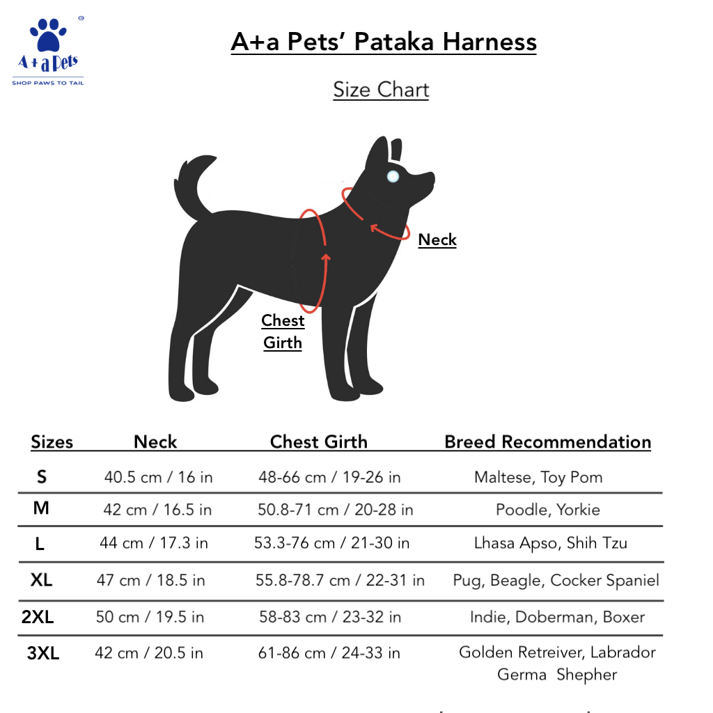 A+a Pets' Pataka' Harness and Leash Combo Set