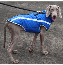 A+a Pets' Luxurious Rain & Wind' Protector Jacket for Dogs
