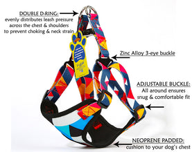 A+A Pets' Rainbow Vest Style Step In Harness