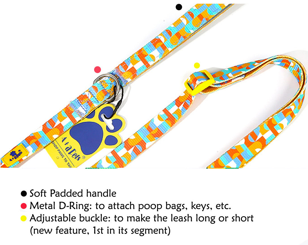 A+a Pets' Leash in Tetris Design