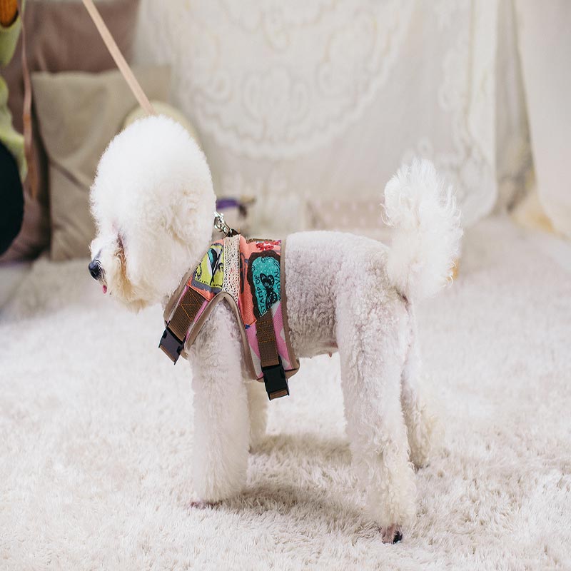 A+A Pets' Retro Vest Harness and Leash Set For Dogs & Cats